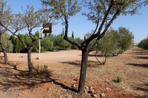a group of trees with a basketball hoop in a field at Casas Rurales el Palomar in Ossa de Montiel