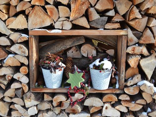 a shelf with two plants and a star on a pile of wood at Landhaus Gastein in Dorfgastein