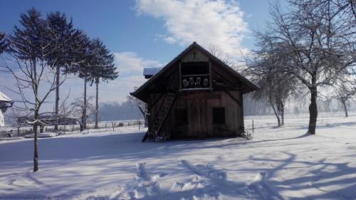 a small wooden building in the snow with trees at RANČ JUREŠ in Ljutomer