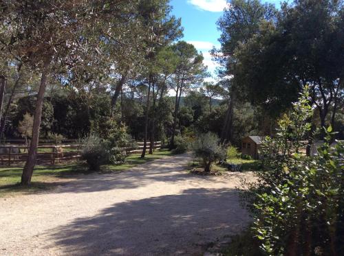 un chemin de terre avec des arbres et une clôture dans l'établissement Séjour Pic Saint Loup, à Saint-Mathieu-de-Tréviers