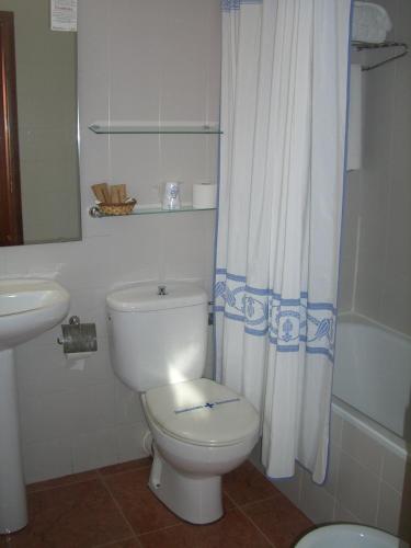 a bathroom with a toilet and a shower curtain at Aero Hotel Cerdanya Ca L'eudald in Alp