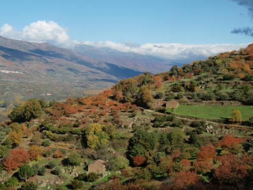Φυσικό τοπίο κοντά σε αυτή η παραθεριστική κατοικία