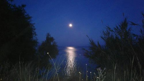 a moon over a body of water at night at Kiki's Apartments in Barbati