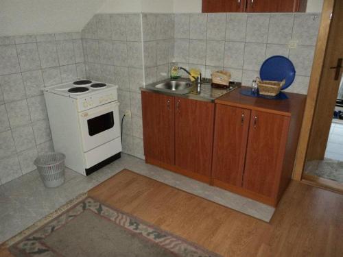 
A kitchen or kitchenette at Prenociste i apartmani Okanović
