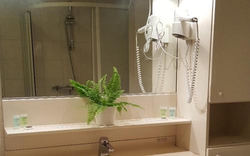 a bathroom with a mirror and a plant on a sink at De Twentse Nar in De Lutte
