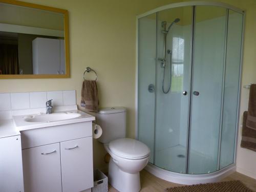 a bathroom with a shower and a toilet and a sink at Miranda Homestead B&B in Miranda