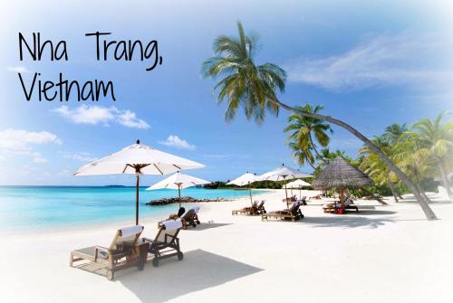 a beach with chairs and umbrellas and the words mma therapy vitamin at Aaron Hotel in Nha Trang