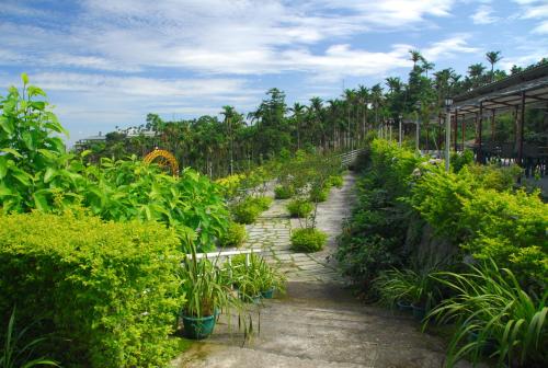 a garden filled with lots of green plants at Ming Zhen Homestay in Gukeng
