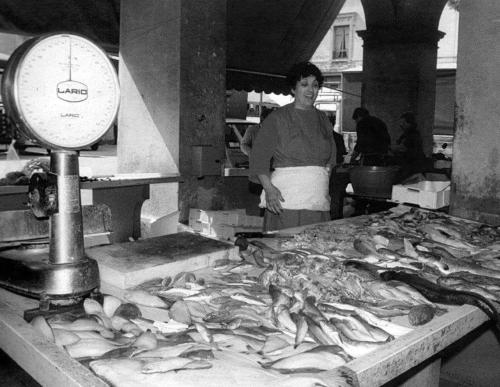 a woman standing in a kitchen with a bunch of fish at Ca' Le Erbe in Fano