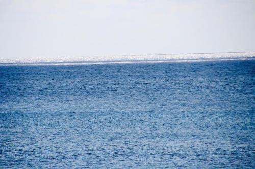 ホテルの近くで見られる自然の景観