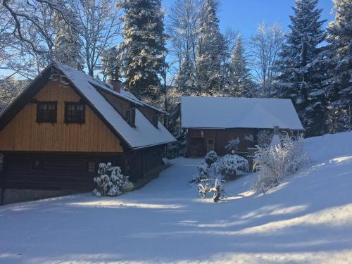 a log cabin with snow on the roof at Počitniška hiša Koča Dobnik in Lovrenc na Pohorju