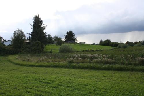 a field of grass with a rainbow in the background at Landpension Zum Schweizerberg in Neugrimnitz