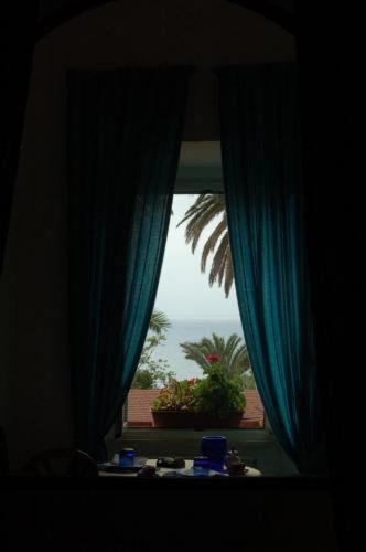 a room with a window with a view of a plant at Hotel L'Isola in Santa Marinella