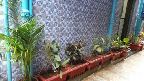 Taman di luar New Metro Guest House