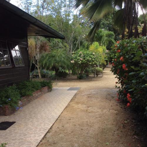 a walkway next to a house with flowers and trees at Bamboe in Meerzorg