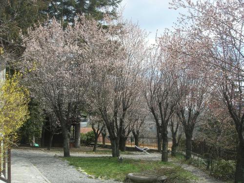 Сад в Residence Villa Linda
