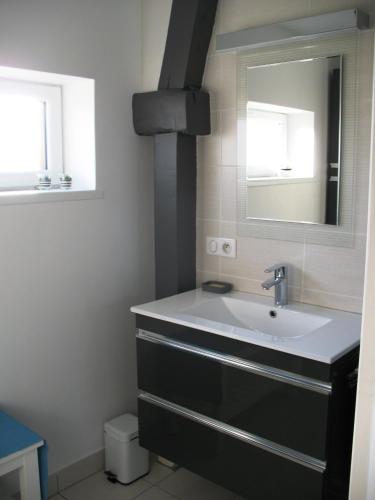 une salle de bain avec un lavabo et un miroir dans l'établissement La Pomme Verte, à Authou