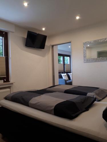 a bedroom with a large bed with a television on the wall at Ferienwohnung Leonora in Remagen