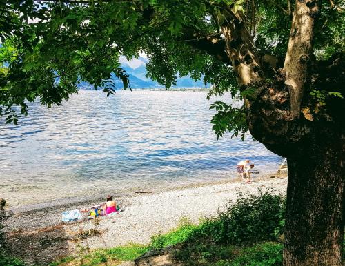 a group of people on a beach near the water at THE BEACH by Design Studio in Bellano