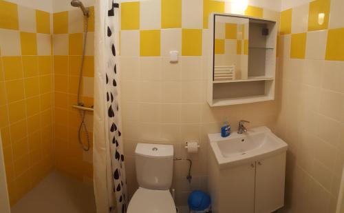a small bathroom with a toilet and a sink at Jcamp in Nové Město pod Smrkem