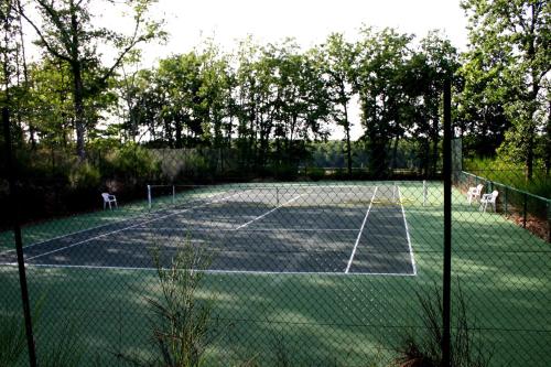 a tennis court with two chairs on it at Le Domaine du Vert bois in Pibrac
