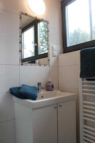 a bathroom with a sink and a mirror at Ferienhaus in der Rhön Sitzmann in Bischofsheim an der Rhön
