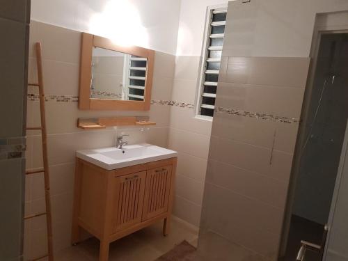 ein Bad mit einem Waschbecken, einem Spiegel und einer Dusche in der Unterkunft Villa Fleur de Canne in Saint-Louis