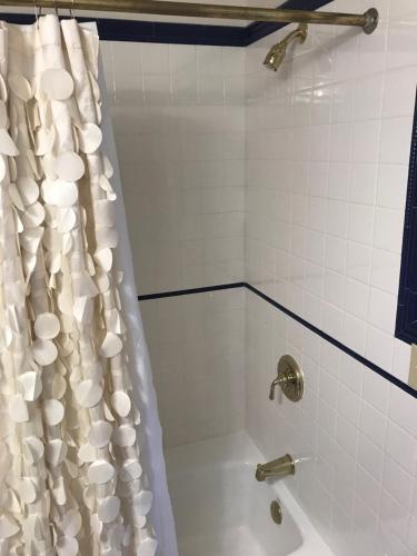 a bathroom with a tub and a shower curtain at Elaine's Cape May Boutique Hotel in Cape May
