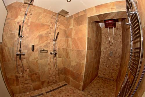 a bathroom with a shower with a shower head at Penzion Kasper Cyklopenzion in Jindrichuv Hradec