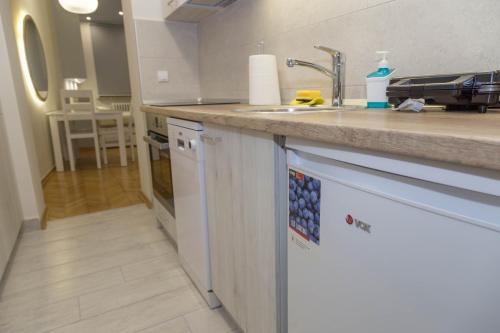 a kitchen counter with a sink and a dishwasher at Apartments Parlament in Belgrade