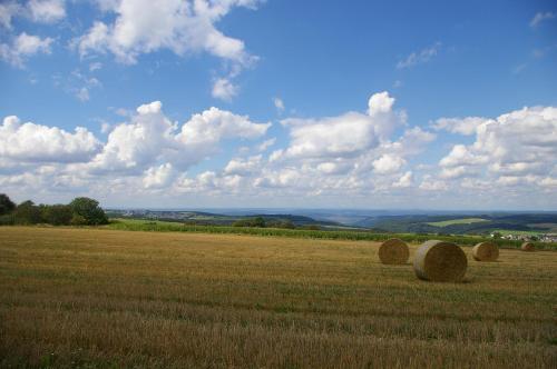 a field filled with hay bales in a field at Ferienwohnungen Gronen in Boppard