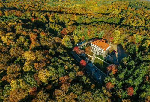 an aerial view of a house in the middle of a forest at Cetatuia in Măgura