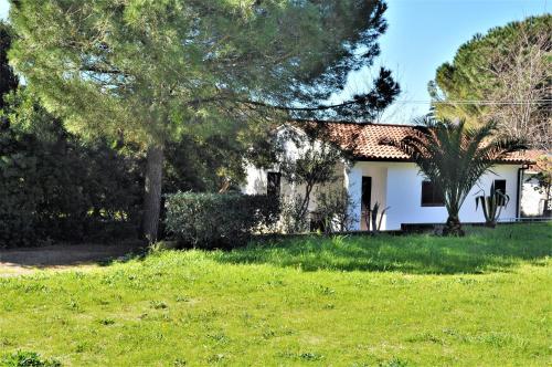 a white house with trees in a yard at Albatros in Capoliveri