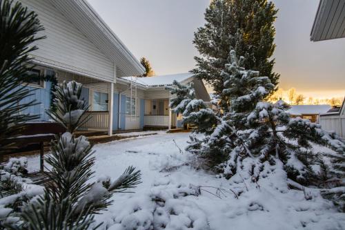 Arctic Resort Delight a l'hivern