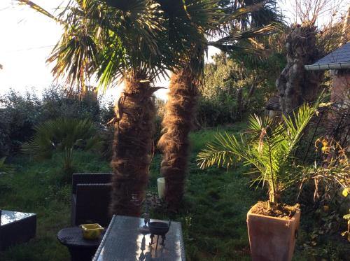a table with a palm tree in a garden at Chante Brise B&B in Étretat