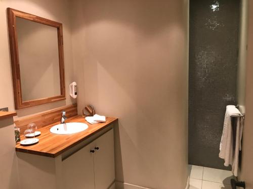 a bathroom with a sink and a mirror and a shower at Le Clos Margot in Vertus