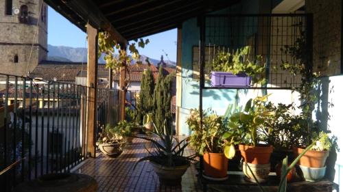 a balcony with a bunch of plants in pots at La Solana, alojamiento y alfarería in Arenas de San Pedro