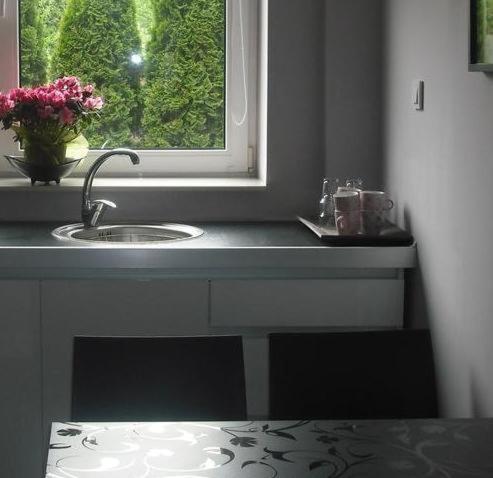 a kitchen counter with a sink and a window at Apartamenty Algador in Kraków