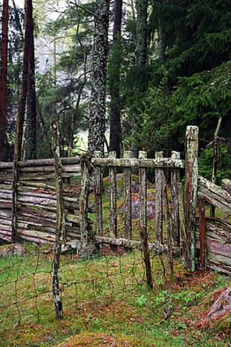 a wooden fence in the middle of a forest at Smultronboda Fårgård in Edsbruk