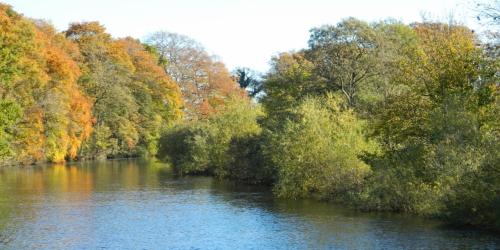 a river with trees on the side of it at Riverview Apartment in Ripon