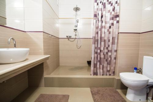 a bathroom with a sink and a toilet and a shower at Апартаменты на ул. Помирецкая 9 in Truskavets