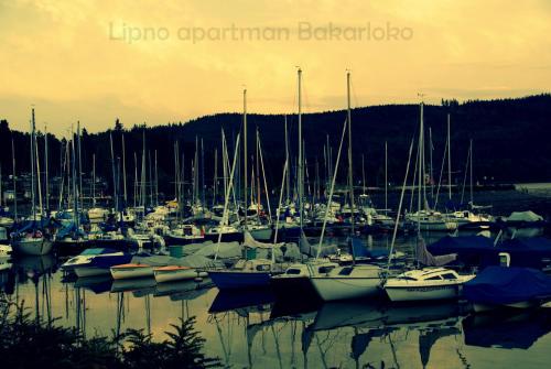 a bunch of boats docked in a harbor at Bakarloko Lipno Apartments in Lipno nad Vltavou