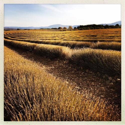 La Campagne de Petre – Photos 4