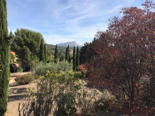 La Campagne de Petre – Photos 5