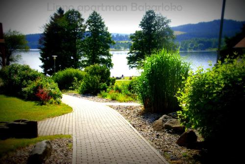 a walkway in a garden with a view of a lake at Bakarloko Lipno Apartments in Lipno nad Vltavou