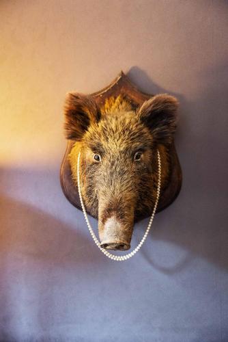 une tête d'ours en bois suspendue sur un mur dans l'établissement Domaine Des Agnelles, à Villedaigne