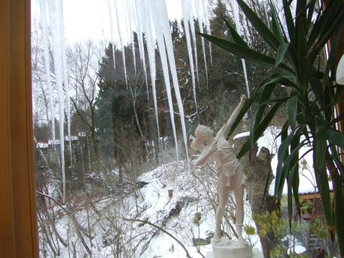 a statue of a teddy bear holding a bat in a window at Frauenpension Arleta - Women only in Goslar