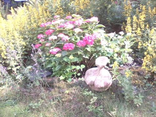 a statue of a duck in a garden with flowers at Frauenpension Arleta - Women only in Goslar