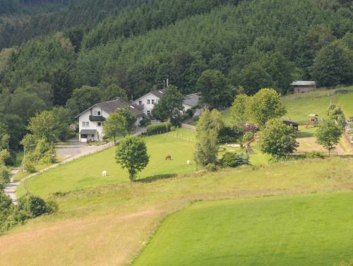 a house on a hill with animals grazing in a field at Dümpelhof Ferienwohnungen in Olsberg