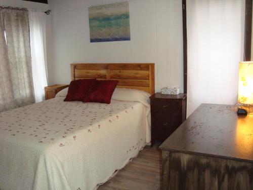 a bedroom with a bed and a dresser in it at Husky House in Bessemer